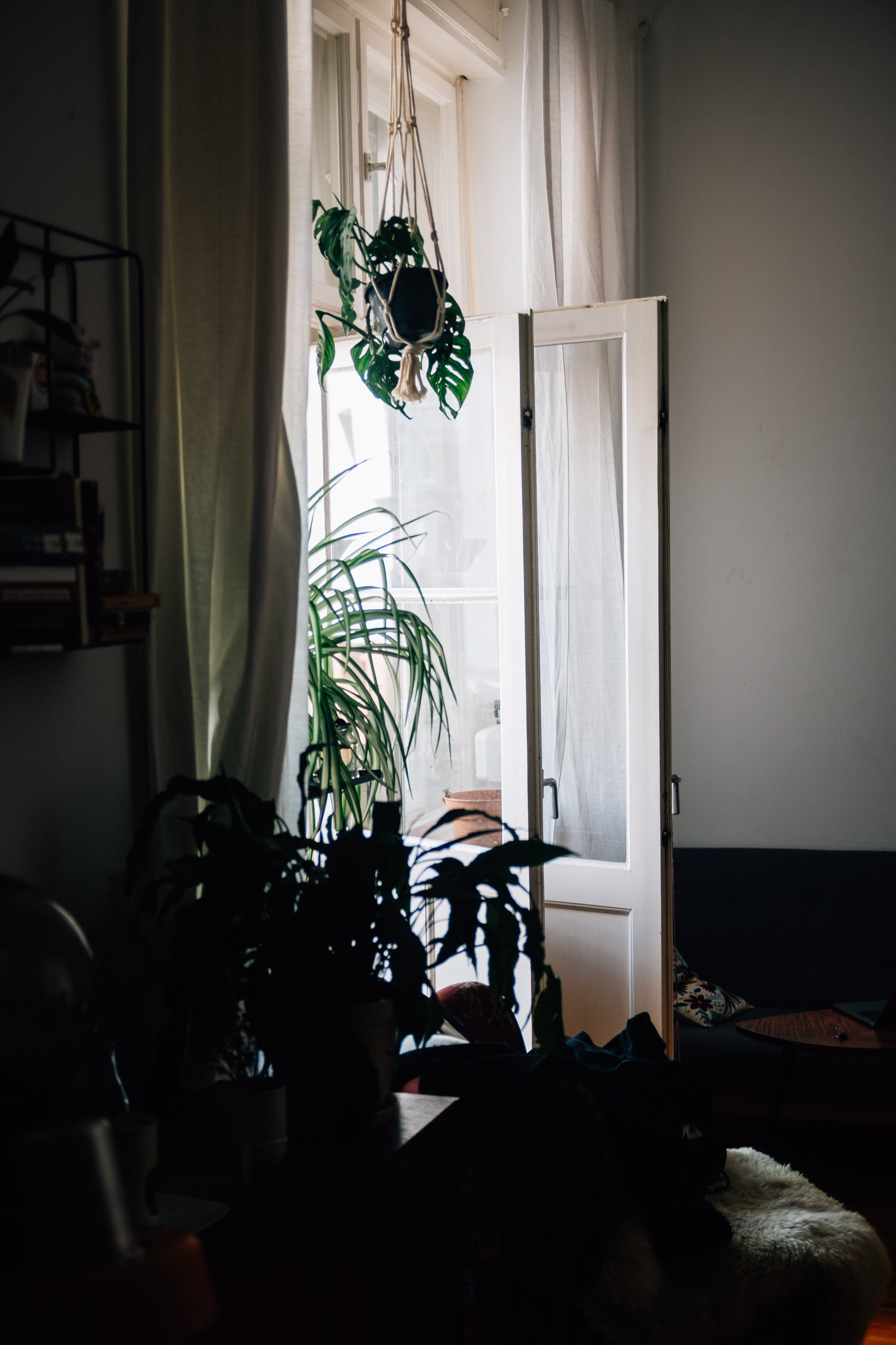 How Often Should You Clean Your Curtains and Carpets?